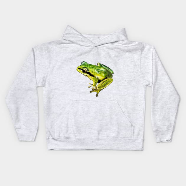 green frog Kids Hoodie by VicaVeresk